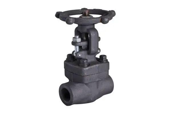 Forged Gate Valve manufacturers in India- Latest Price Gate Valve