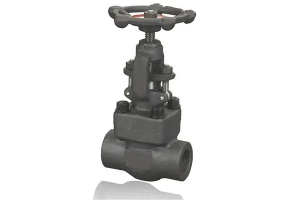 Forged Globe Valve manufacturers in Tamil Nadu