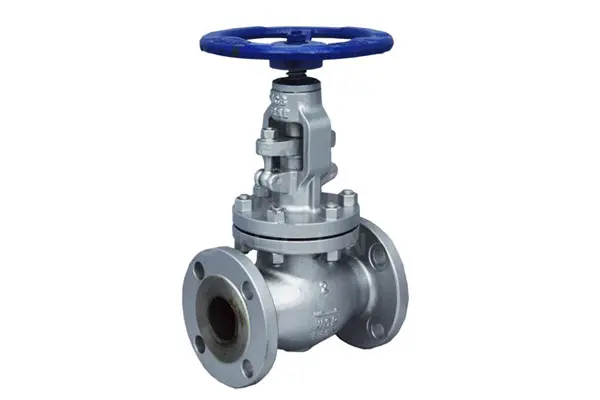 Globe valve supplier in India