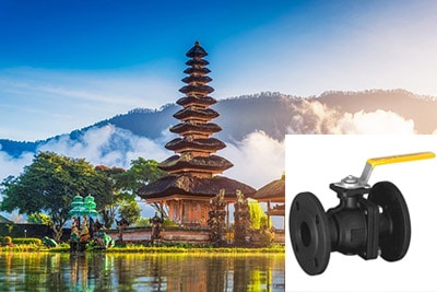 Globe valve exporter in Indonesia - Quality Pressure reducing valves